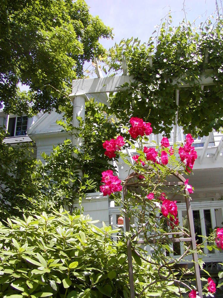 Arabian Horse Inn Sudbury Eksteriør bilde